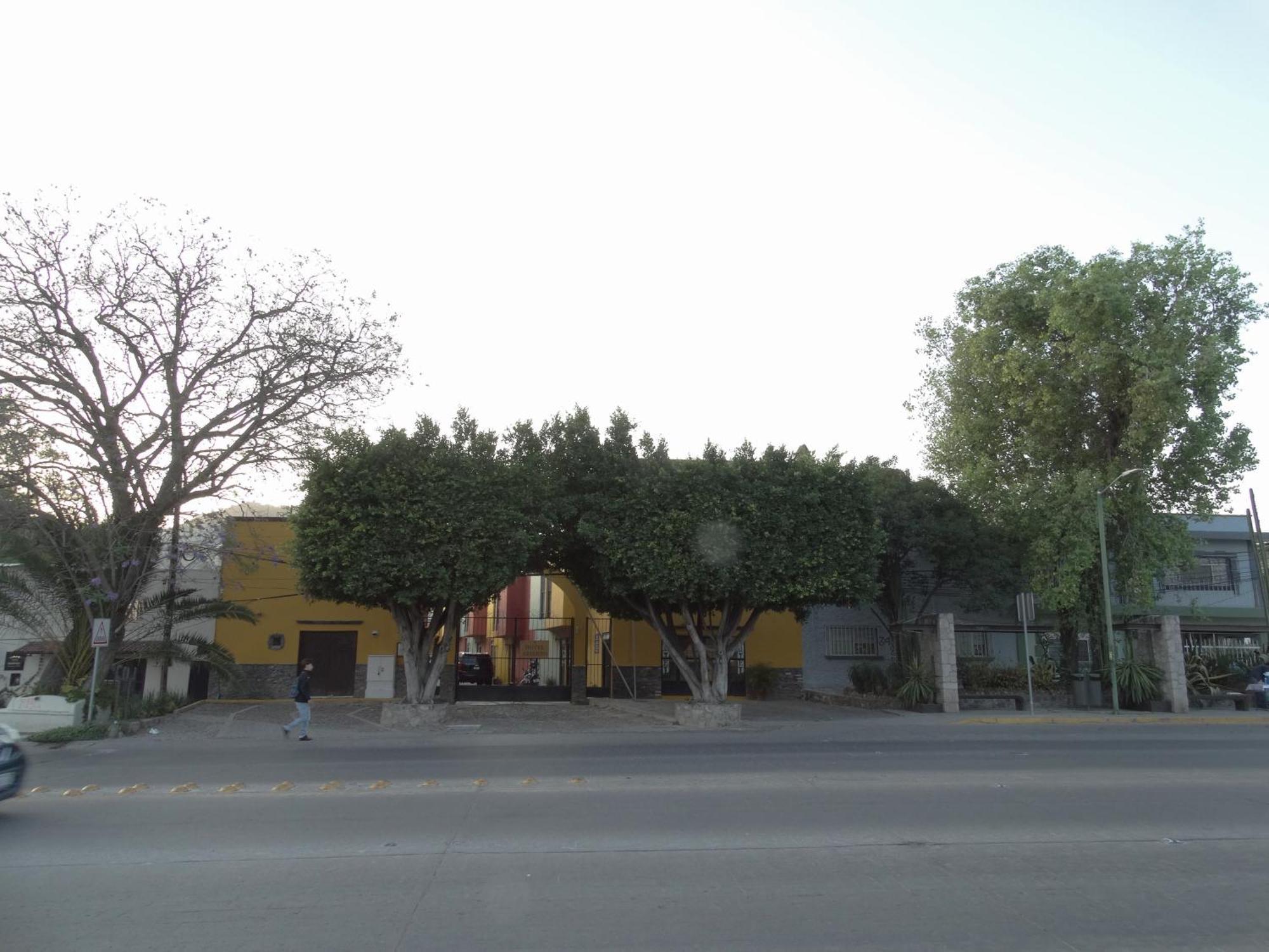 Hotel Camino De Allende San Miguel de Allende Kültér fotó